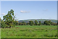 Towards Sutton Common