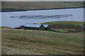 Fish farm in Gon Firth