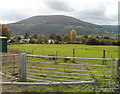 Abergavenny : field with a mountain backdrop