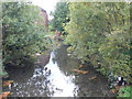 The River Kennet at Marlborough