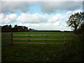 Looking towards the Polo centre at Tickton Hall