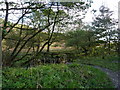 On the Peak Forest Tramway Trail