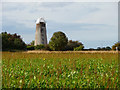 Disused Windmill, Hickling, Norfolk