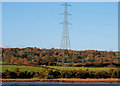 Pylon and power lines near Ballycarry