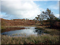 SD4294 : Small tarn, Undermillbeck Common by Karl and Ali