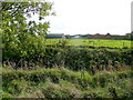 Farm buildings and pasture land