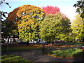 Autumn in Victoria Park, Cardiff