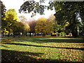 Sunlight and shadow, Victoria Park, Cardiff