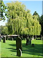 Churchyard, St Radegund