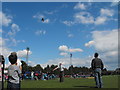 Falconry at Gala Day, Alyth