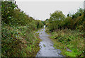 Old old Chelmsford Road