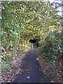 Footpath - side of Longfield Road