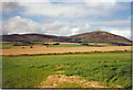 Roadside fields south of Kirkbean