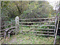 SD4193 : Old style gate, Green Yew by Karl and Ali