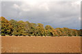 SP0718 : Autumn colours near Hazleton, Gloucestershire by Roger Davies