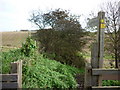 A footpath heading towards Flamborough lighthouse