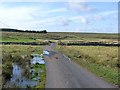 Cattle grid at Middlesknowes