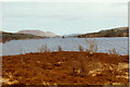 NN3881 : Looking east along Loch Laggan by Sarah Charlesworth