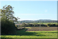 2010 : Looking west at Cloford Common