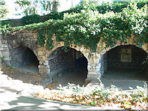 TQ1873 : Grotto-like arches in Buccleuch Gardens by Eirian Evans