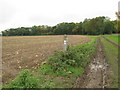 Footpath junction on the North Downs Way in Ranscombe Farm