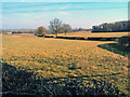 SO3814 : Farmland near Beiliau by Trevor Rickard