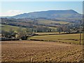 SO3815 : Farmland in the Trothy Valley south of Treadam by Trevor Rickard
