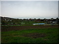 Allotments in Bottesford