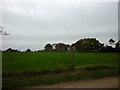 A unknown farm near Yaddlethorpe