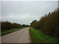 Looking towards the bend on Butterwick Road