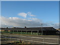 Cattle pens at Darlington Mart