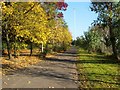 Sighthill Park