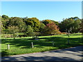 Autumn at Hascombe Pond