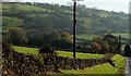 The Ballyvernstown Road near Glynn (2)