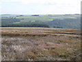 Parkhead Fell west of Park Head