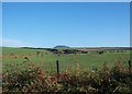 Farmland near Crugeran Farm