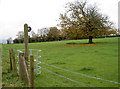 Electric kissing gate