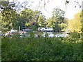 Houseboats on the Thames