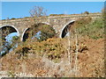 Eastern arches of Garndiffaith Viaduct