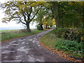 Salents Lane heading towards Wharram le Street