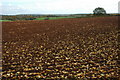 Arable land near Longley Farm