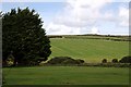 Golf Course and Field