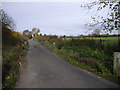 Puxton Lane, just south of South Farm