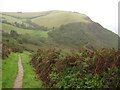 Coast path above Polstreath