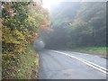 A396 passing Stoke Woods