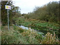 Driffield canal is getting blocked with weeds