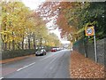 SE1011 : Meltham Mills Road - Huddersfield Road by Betty Longbottom