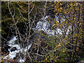 Waterfall through the trees