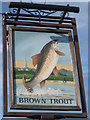 Brown Trout sign