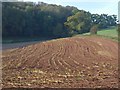 Stubble field, Long Plantation